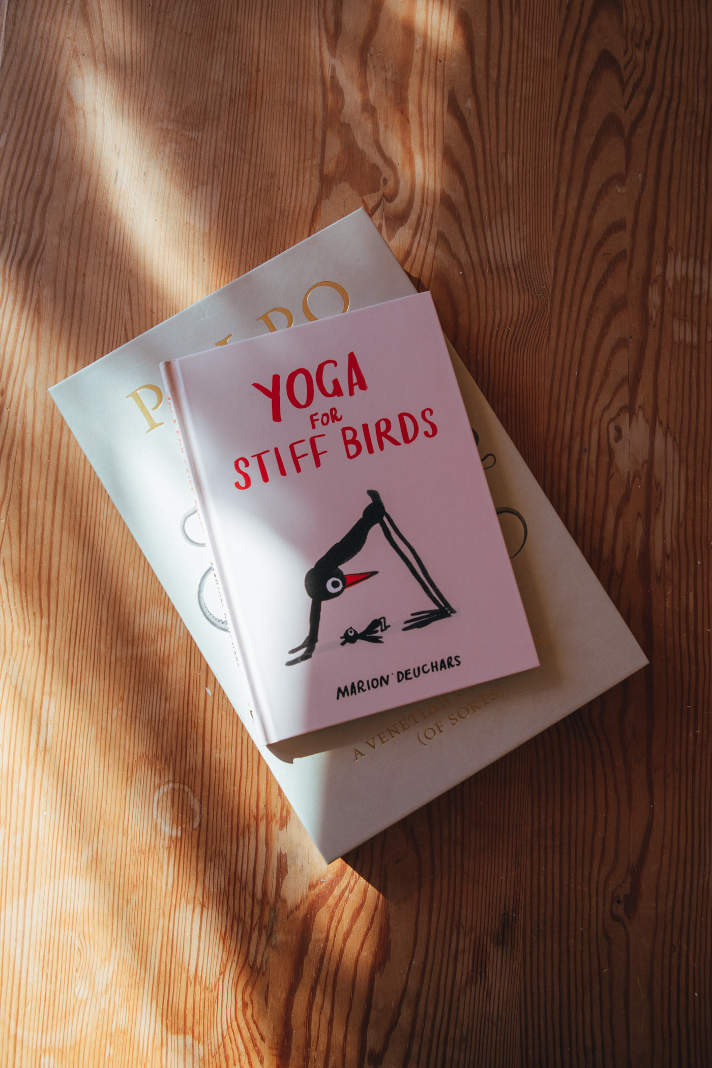 New Mags | Yoga for Stiff Birds