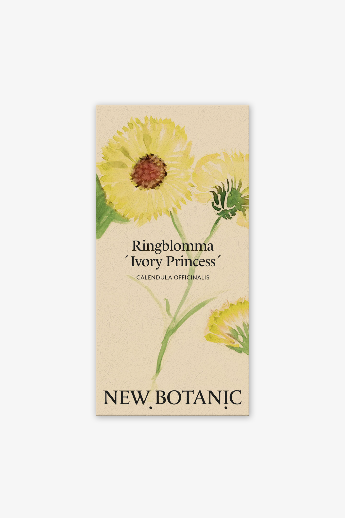 New Botanic | Ringblomma Ivory Princess
